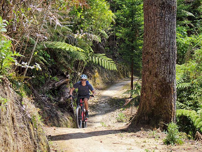 Mountain Bike Rentals in Jaco, Costa Rica - AXR An Xtreme Rider