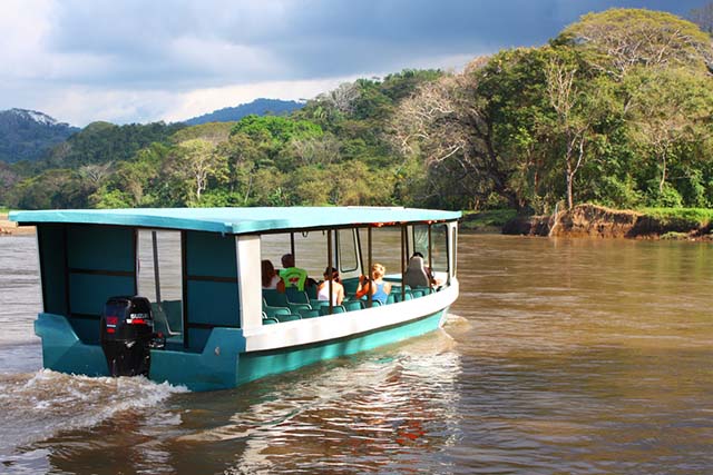 Crocodile Tour in Jaco, Costa Rica