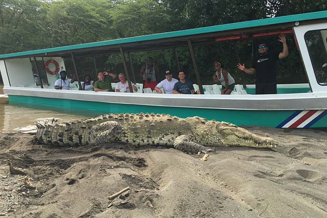 Crocodile Tour in Jaco, Costa Rica