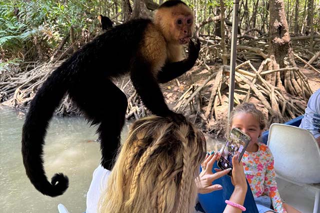 Monkey Mangrove Tour from Jaco, Costa Rica