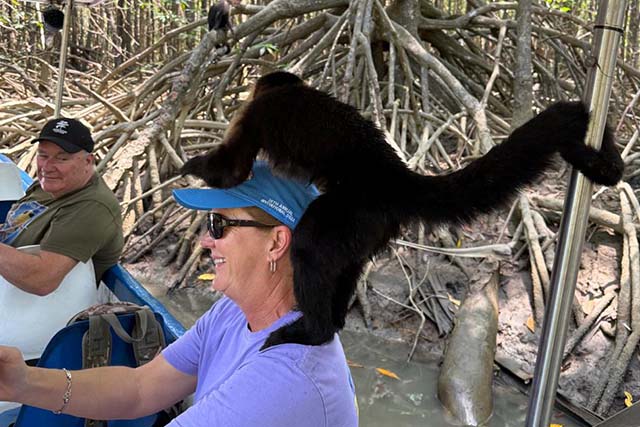 Monkey Mangrove Tour from Jaco, Costa Rica
