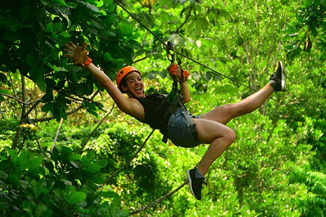 Zip Line